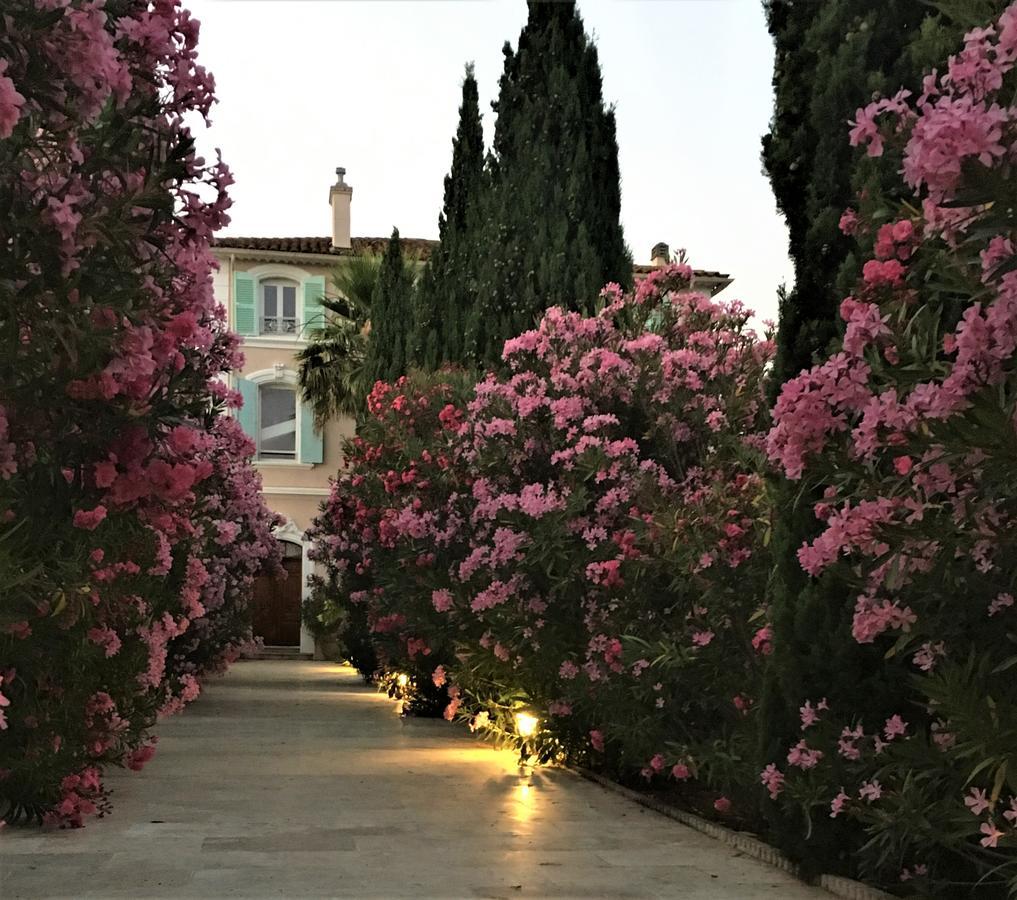 Domaine De L'Aufrene Bed & Breakfast Hyères Dış mekan fotoğraf